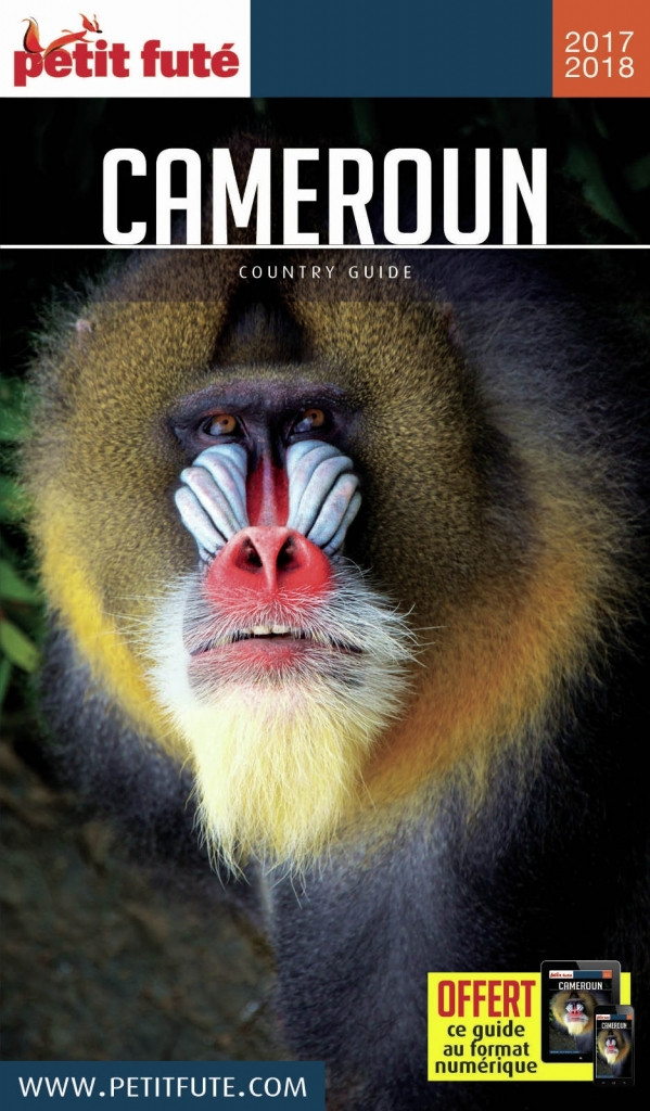 Guide Touristique Petit Futé Cameroun édition 20182019 - 