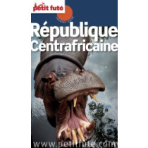 République Centrafricaine 2013 - Le guide numérique