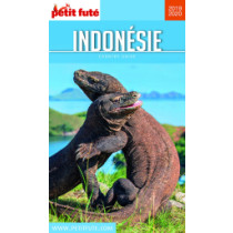 INDONÉSIE 2019/2020 - Le guide numérique