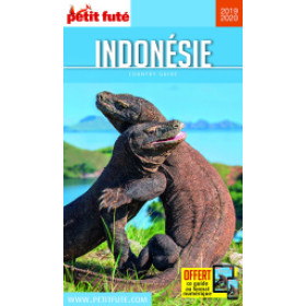 INDONÉSIE 2019/2020