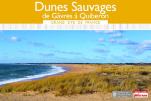 DUNES SAUVAGES DE GÂVRES À QUIBERON 2019 - Le guide numérique