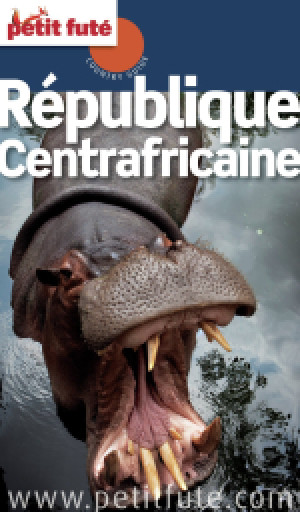 République Centrafricaine 2013